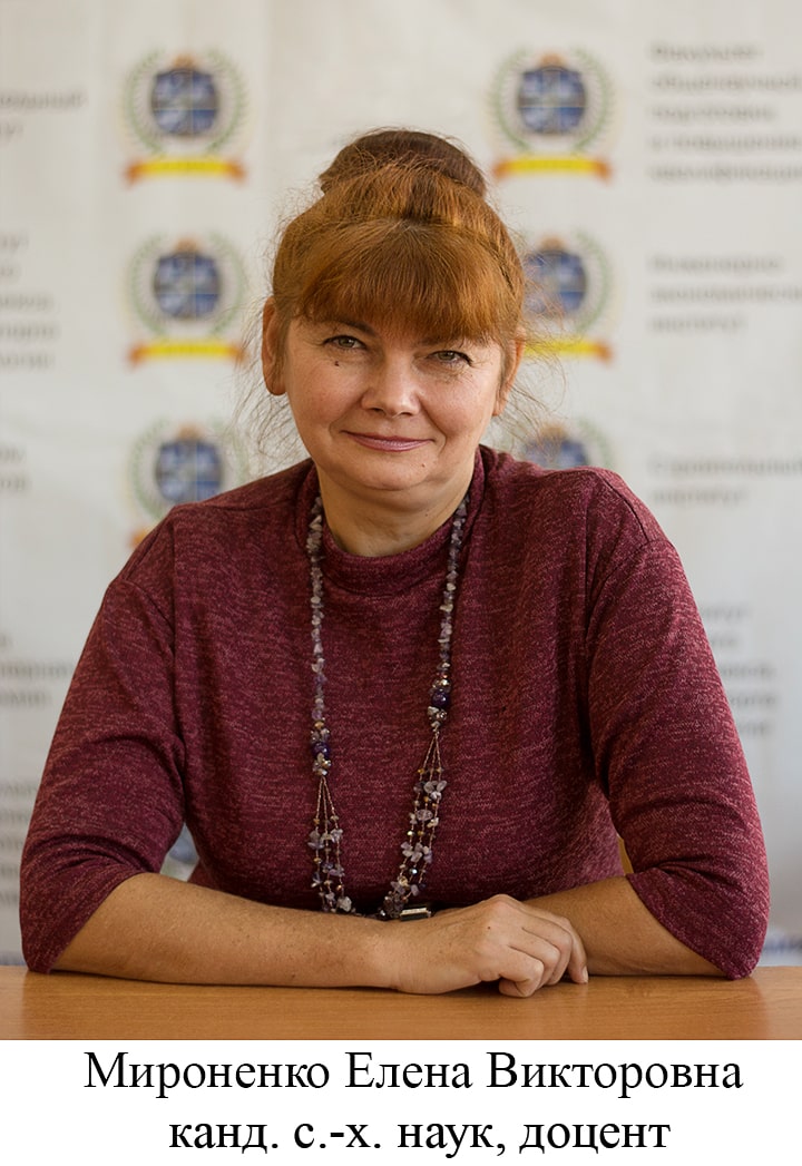 Мироненко Елена Викторовна 