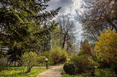 В Ботаническом саду БГИТУ будет разработана экологическая тропа в рамках программы «Сириус.Лето: начни свой проект»