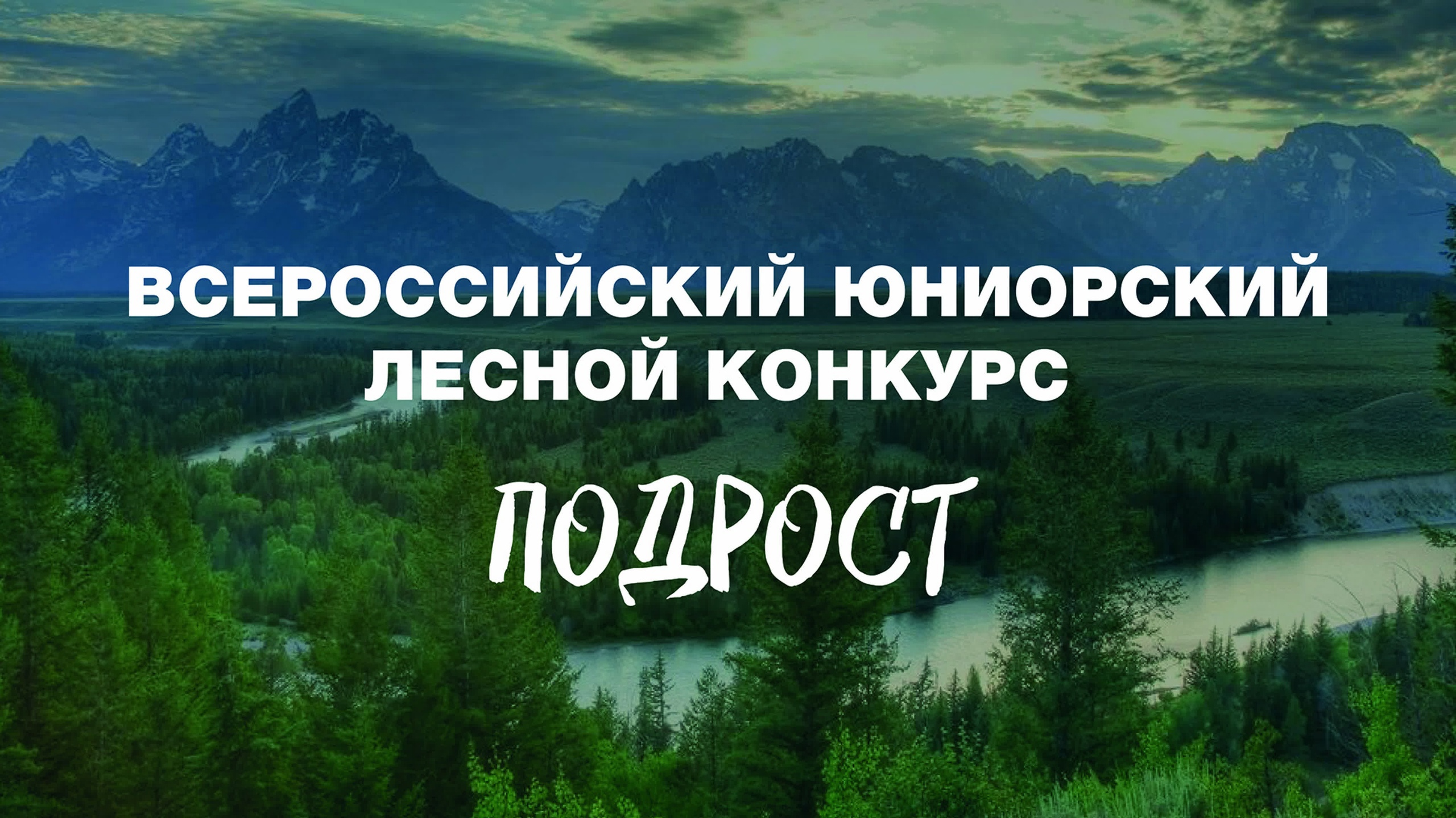 Благодарность  за содействие в организации и проведении Всероссийского юниорского лесного конкурса "Подрост"